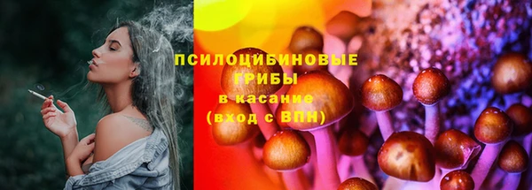 гашик Лихославль