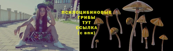 гашик Лихославль