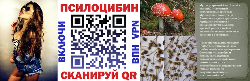 Псилоцибиновые грибы ЛСД  Мамадыш 